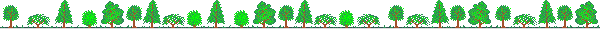 tree1.gif (3129 Ӧ줸)