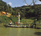 Z.gif (12166 Ӧ줸)